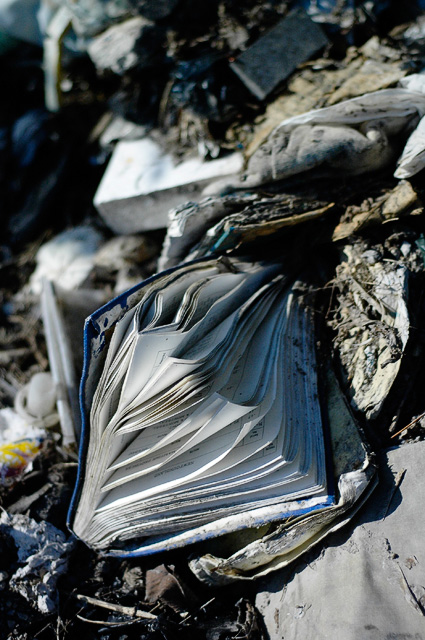 The Local Dump